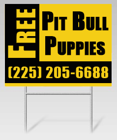FREE-Pit-Bull-Pups_zpsf6f39050.png