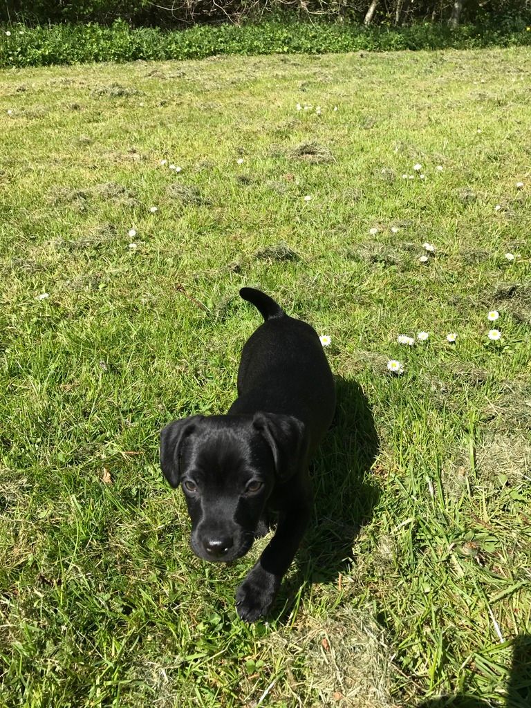 00B61444-CC69-4876-8256-13F721A614F2_zps