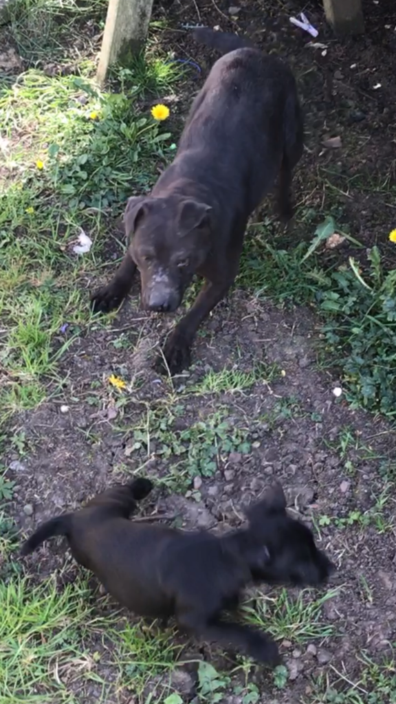 02B882B3-69FF-47D5-820A-8BF6A405C9CC_zps