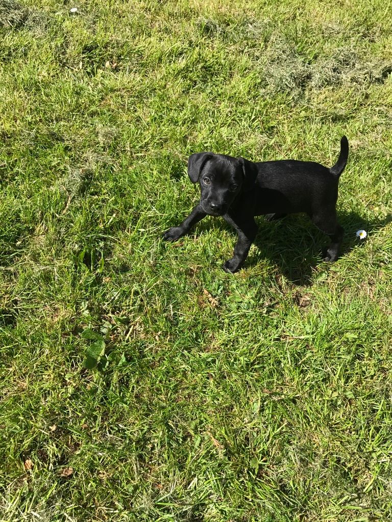 6E6A523D-974C-43F6-A950-76EDC5946175_zps