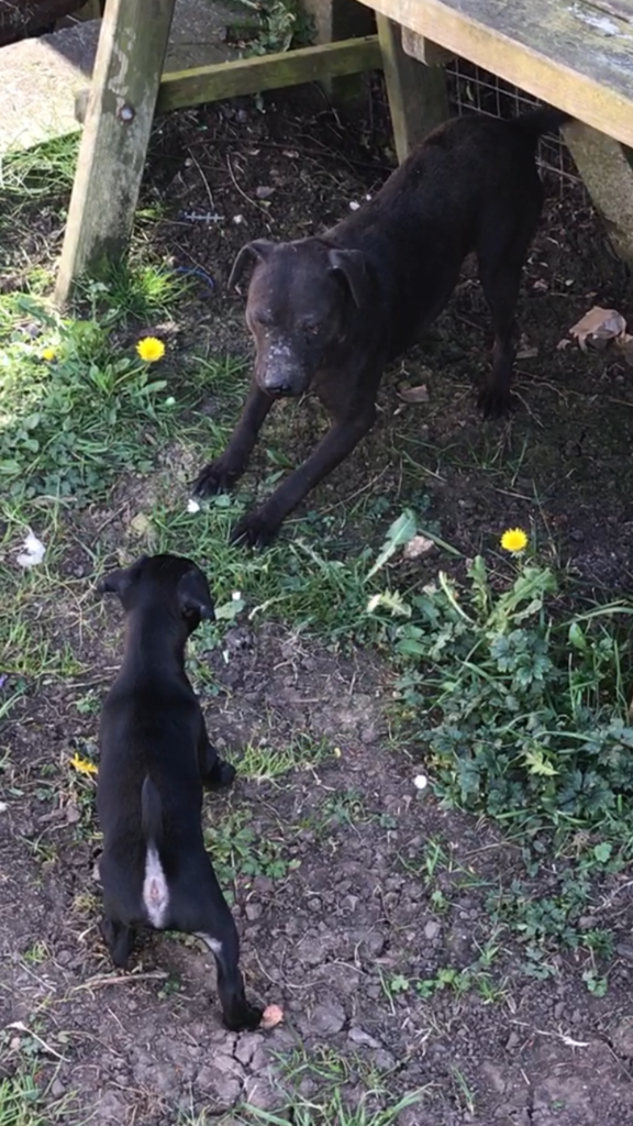 A3F6BE39-C22E-4923-8499-6A3B7BCD8AC0_zps