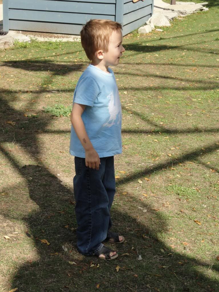 Facial features of children with autism? BabyCenter