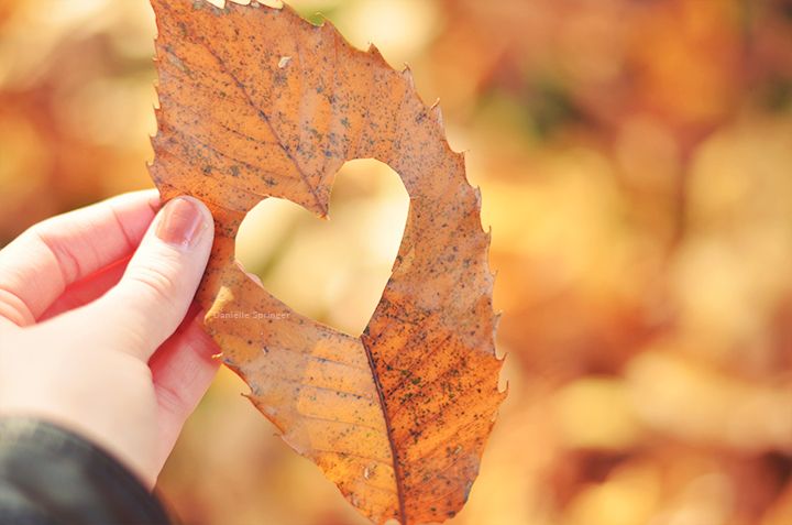 Fall Favorites Tag