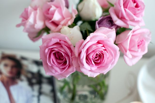  photo Home-Roses_zpsb76daa56.jpg