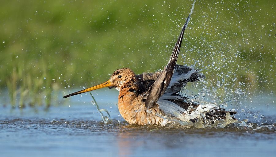Fotografie