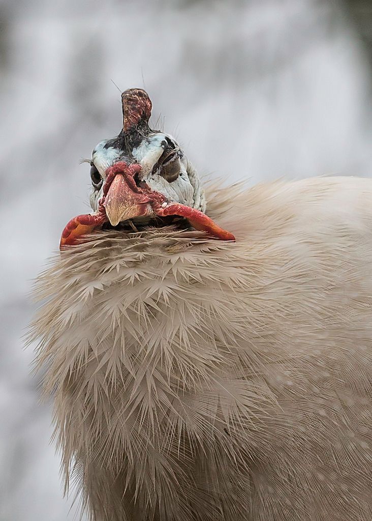 Fotografie