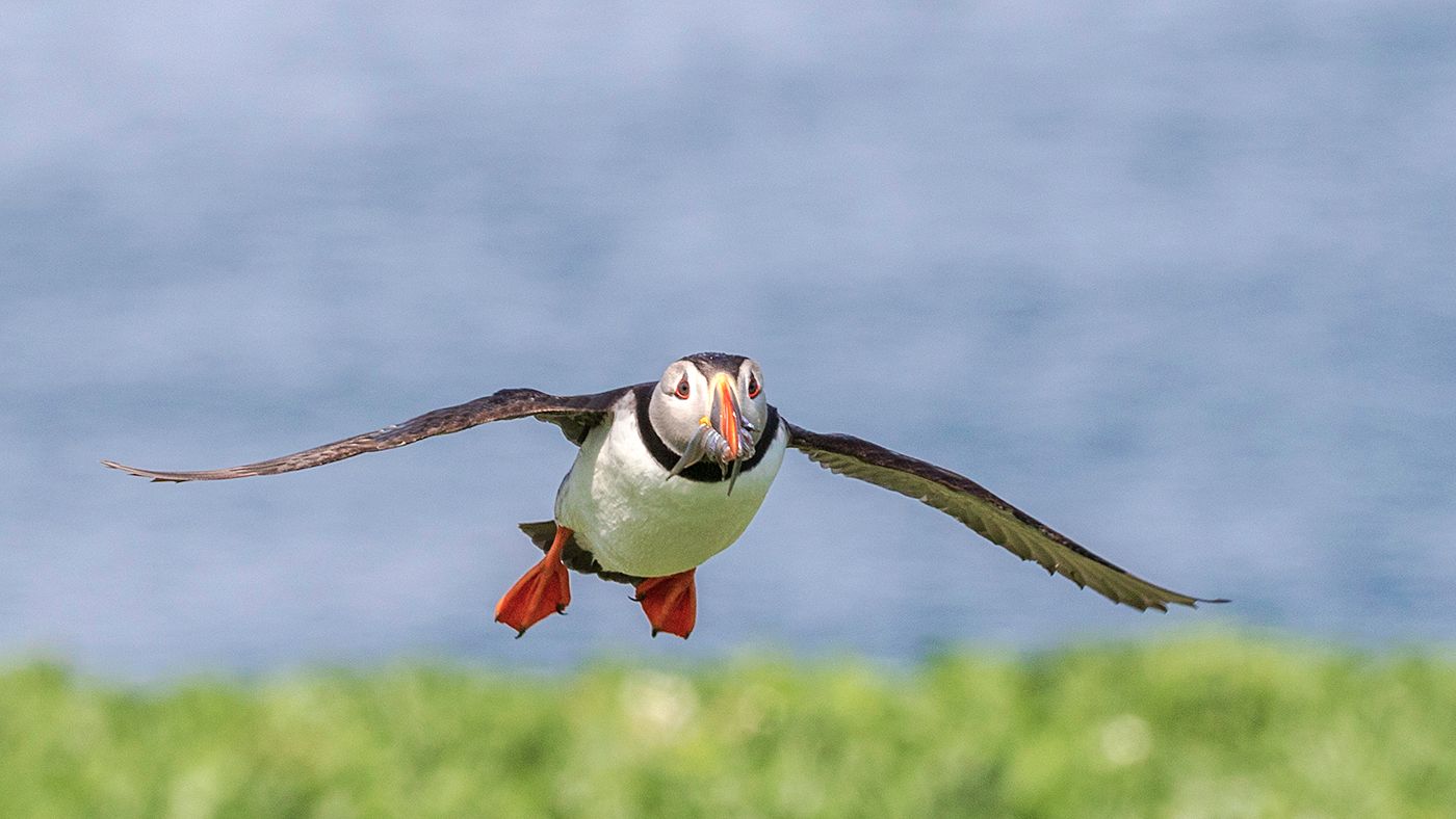 Fotografie
