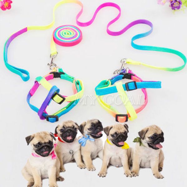Pet Small Dog Puppy Cat Rabbit Kitten Nylon Harness Collar Leash Lead