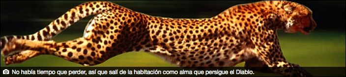 imagen_%20in_1_zpsbl7op5ts.jpg