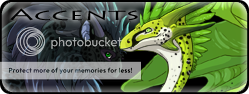banneraccents2_zps2eb67b6c.png