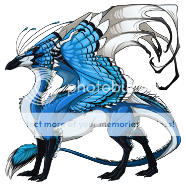 bluejayskydancer_m_dragon_elements_friendlycopy_zps55006533.png