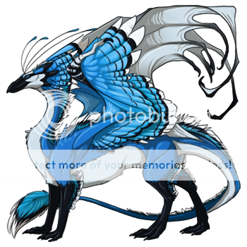 bluejayskydancer_m_dragon_elements_friendlycopy_zpsed582296.png